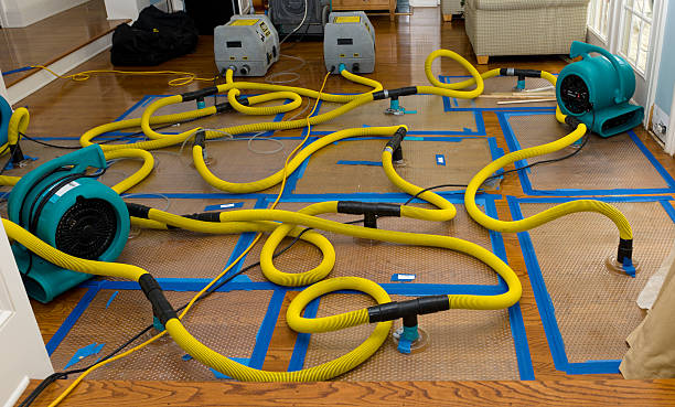 Professional Flood Damage Restoration technician working in Maiden Rock, WI